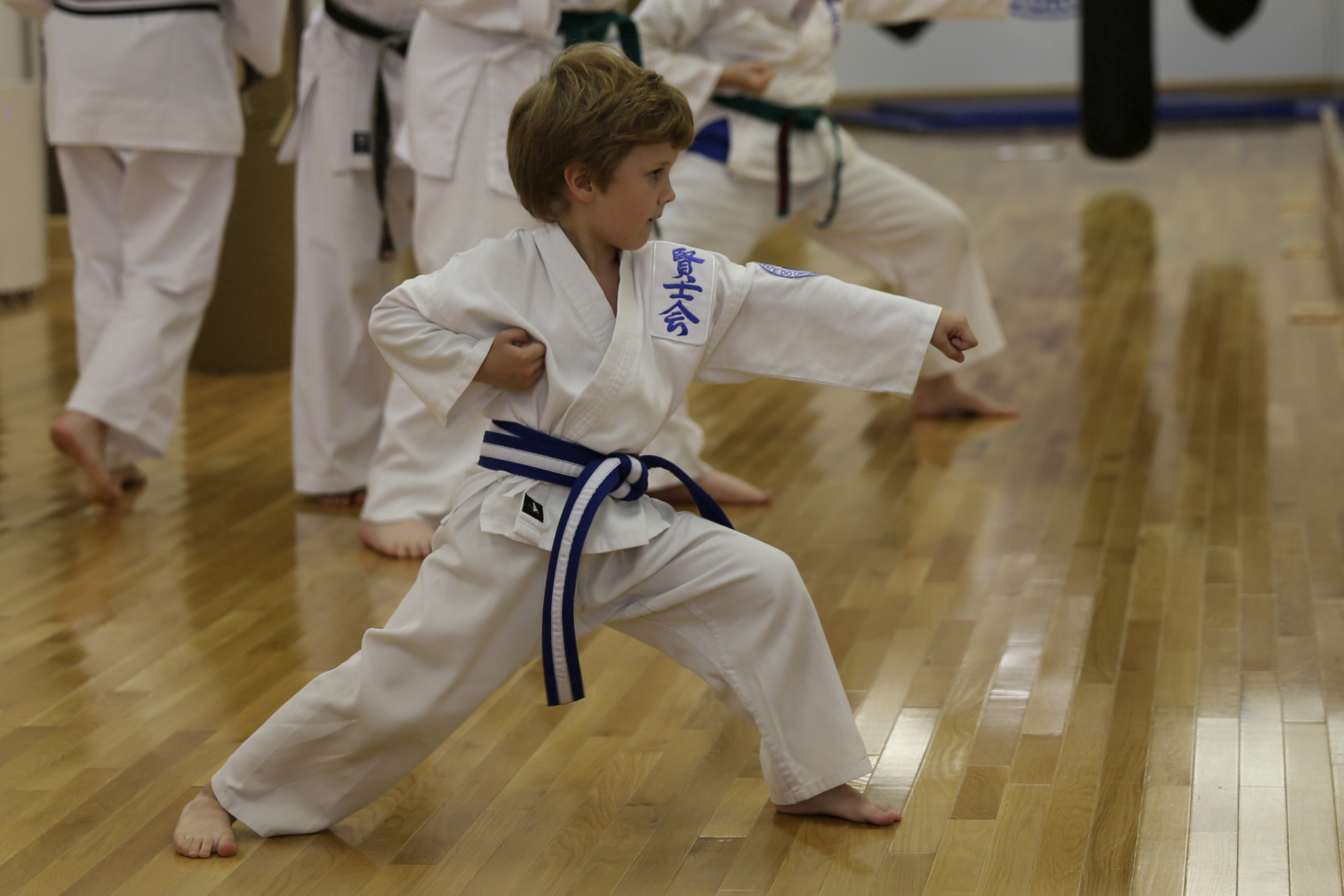 Juniour Blue Belt Promotion